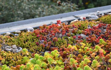 the cost of Aveton Gifford green roof installation