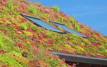 Aveton Gifford living roof systems