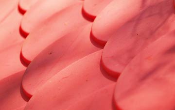 Aveton Gifford plastic roof costs